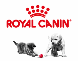 Proyectos para Royal Canin Logo Royal Canin